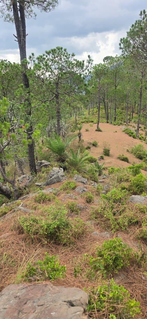 Property image thumbnail 12
