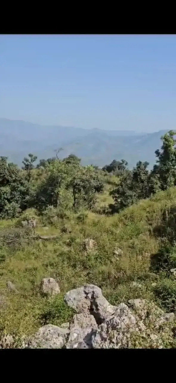 300 Bigha Land for Sale in Sirmaur, Himachal Pradesh – Renuka Ji Dam Project View