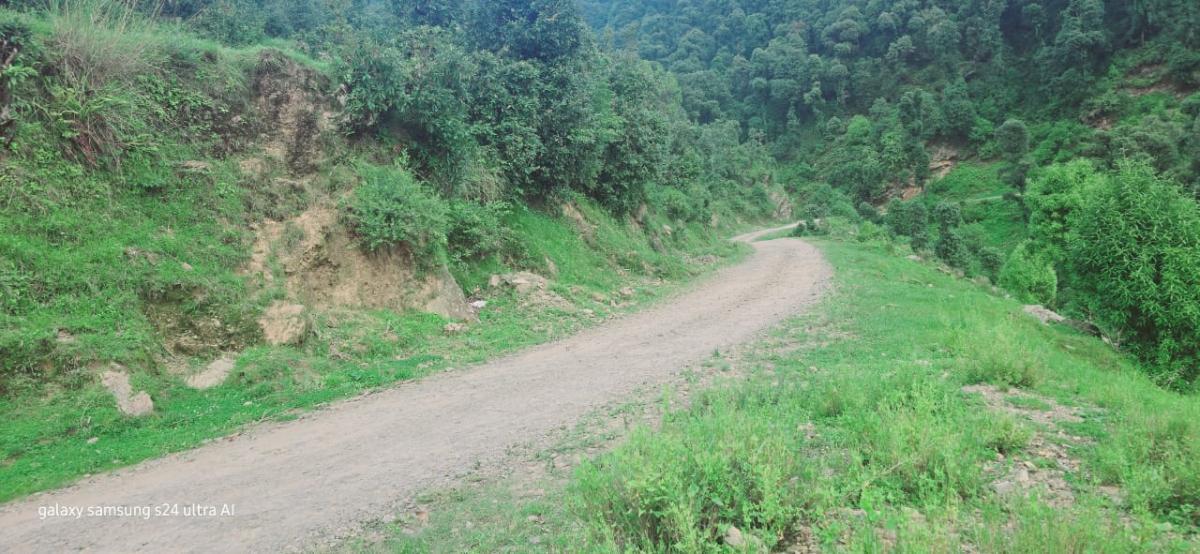 70 Bigha Land for Sale in Nohradhar, Sirmaur – 2.5 km from Market