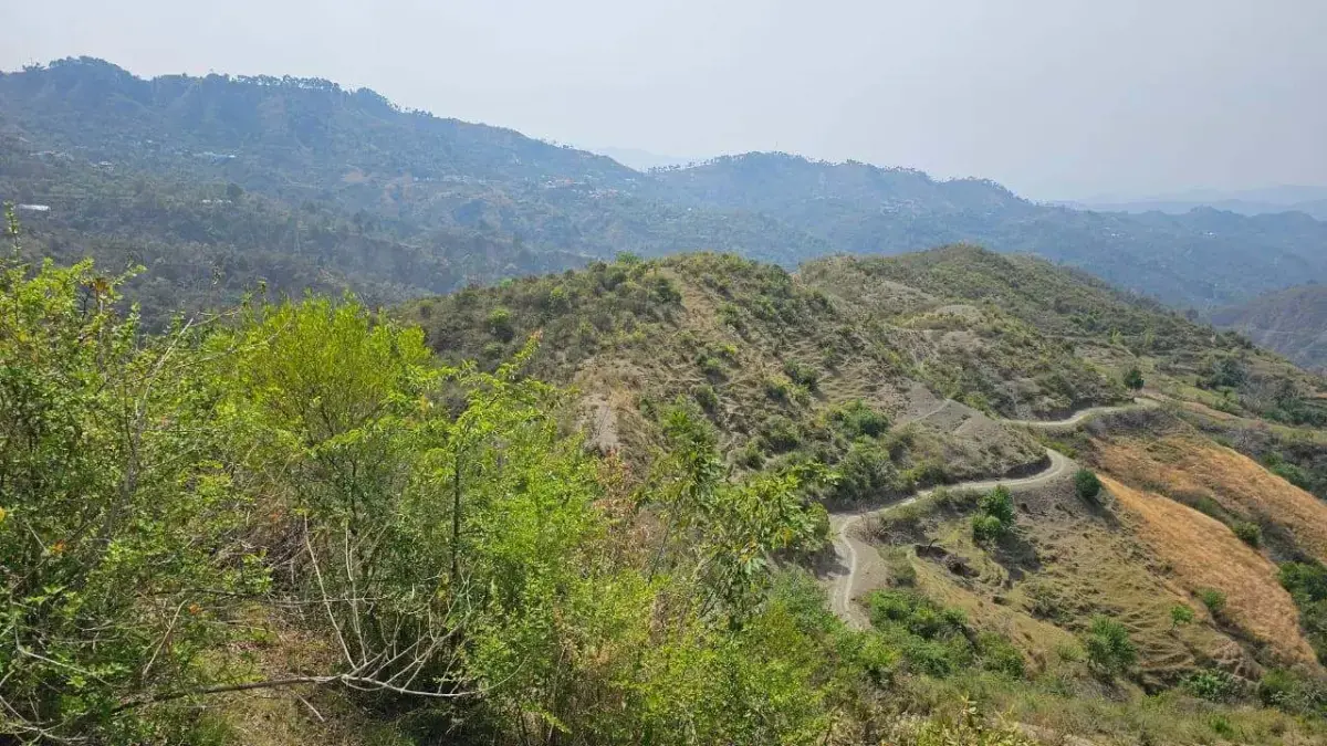 400 Bigha Land for Sale Near Shimla Airport, Himachal Pradesh in Himachal