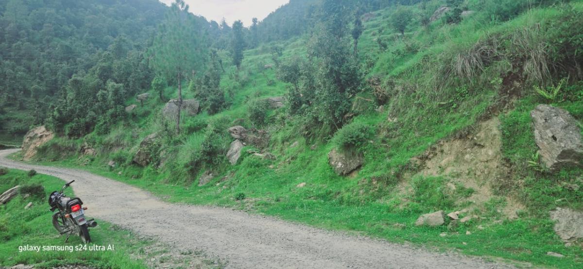 Property image thumbnail 2