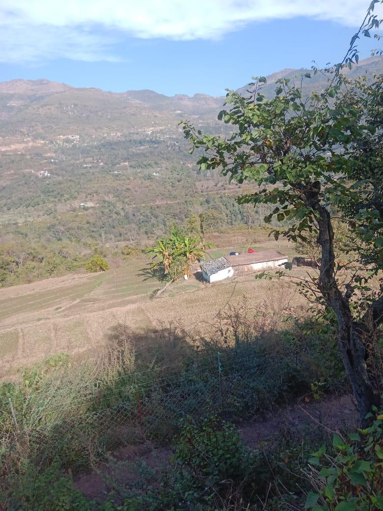 118 Bigha Clear Title Land in Sirmour