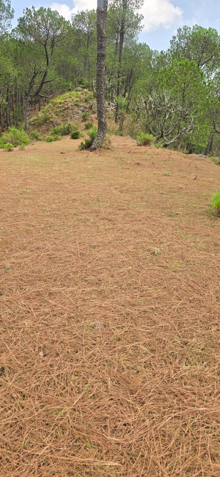 Property image thumbnail 3