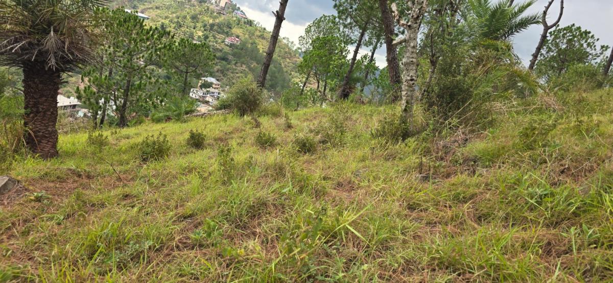 Property image thumbnail 6