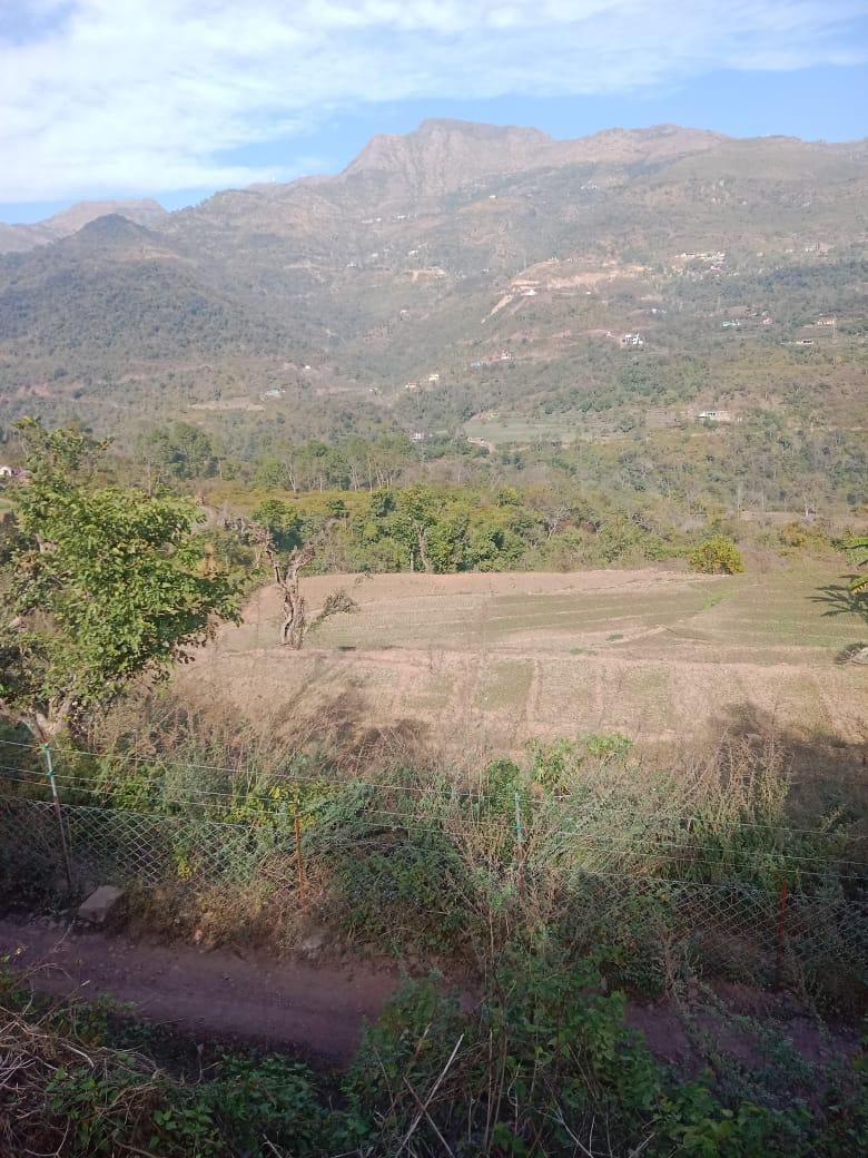 Property image thumbnail 6