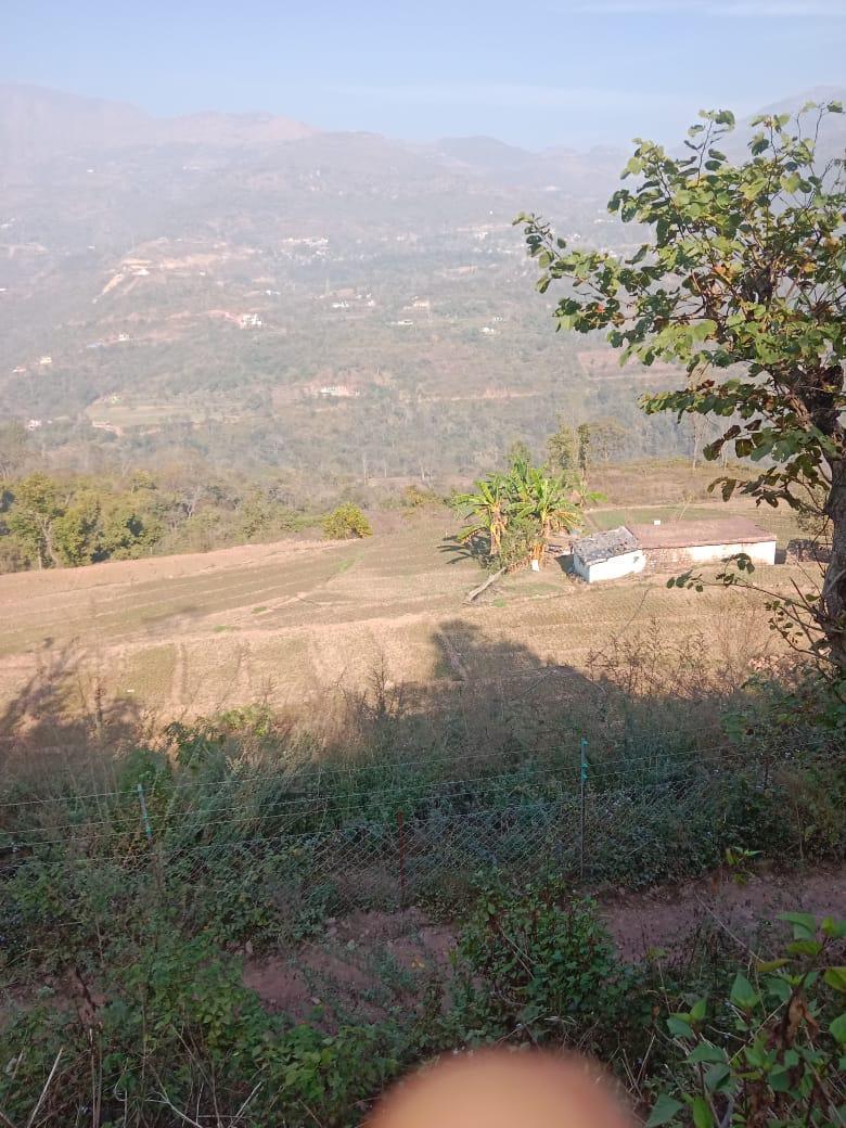 Property image thumbnail 7