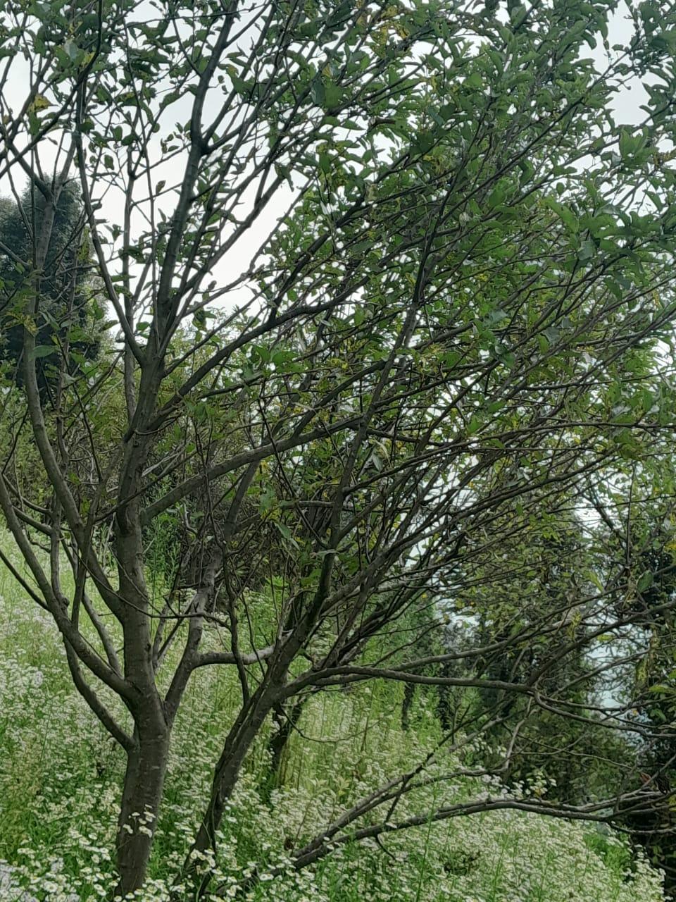 Property image thumbnail 11