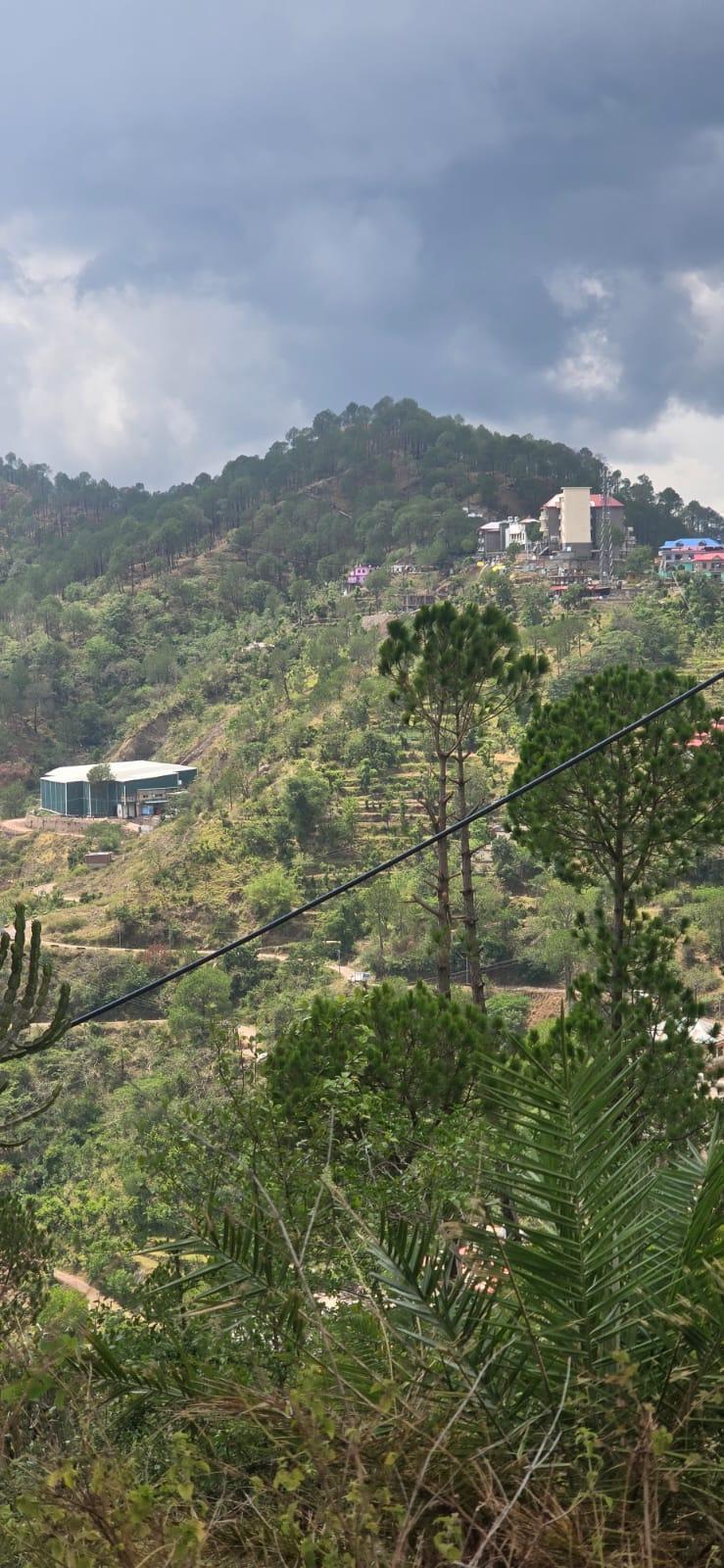 23 Bigha Residential Land for Sale in Solan (Bhojnagar), Himachal Pradesh